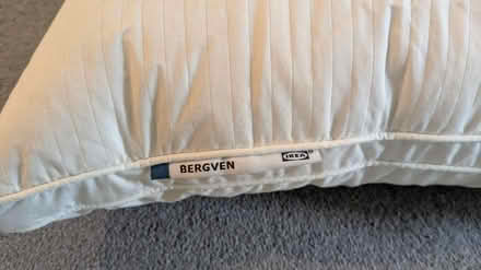 Photo of free Ikea Pillows and cushions x2 (E17) #2
