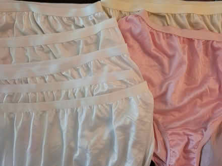 Photo of free Plus-Sized Nylon Panties - New (Erin Mills) #1