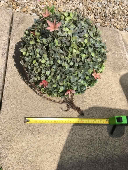 Photo of free Artificial garden topiary (Jennyfields HG3) #2