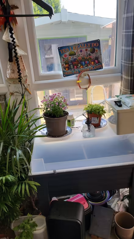 Photo of free summer room / workshop (basingstoke popley RG24) #3