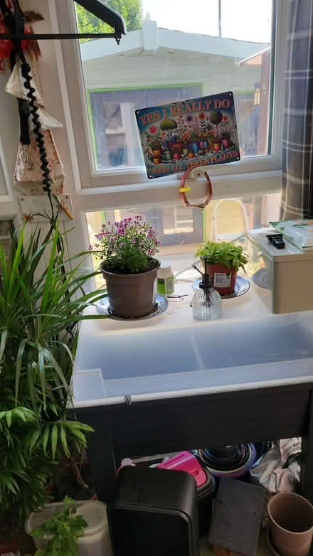 Photo of free double glazed windows (basingstoke popley RG24) #2