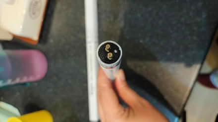 Photo of free Brand new 300mm tubular bulb (SW11) #3