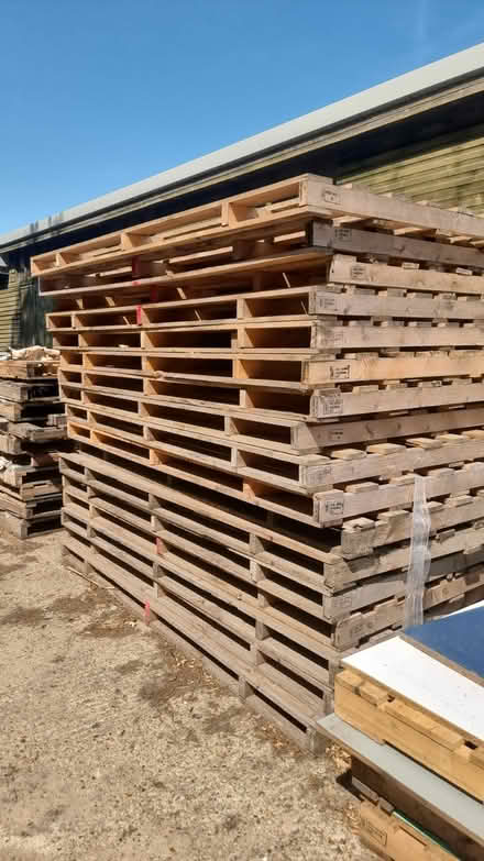Photo of free Large Wooden Pallets (Larling NR16) #1