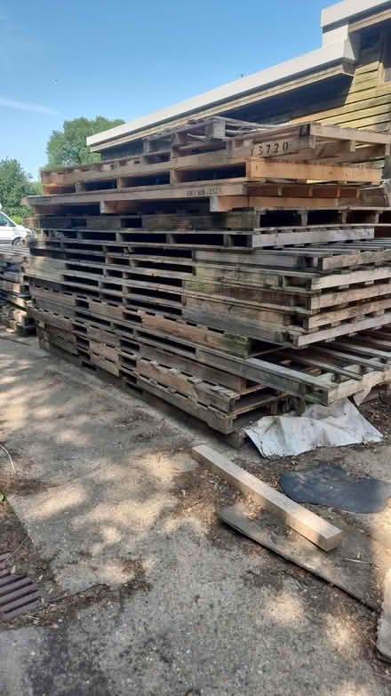 Photo of free Large Wooden Pallets (Larling NR16) #2