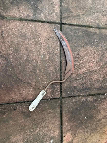 Photo of free Sickle (Uplyme) #1