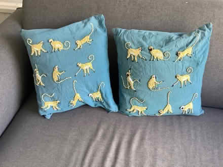 Photo of free Two blue monkey cushions (Chorley SK9) #1