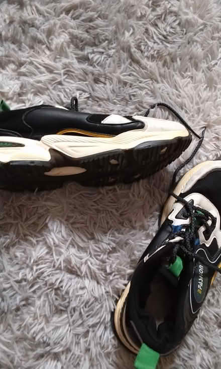 Photo of free Sneaker (Granton, EH5) #1
