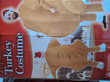 Photo of free Inflatable Christmas Costumes (Dunston/ Low Teams NE8) #1