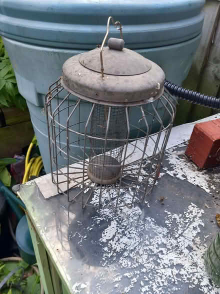 Photo of free Peanut Bird Feeder (South Bermondsey SE16) #1