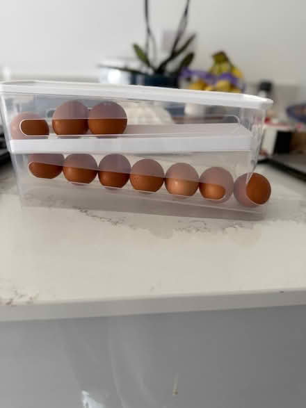 Photo of free Egg fridge storage (Tyburn B24) #1
