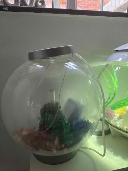 Photo of free Biorb (Faversham ME13) #1