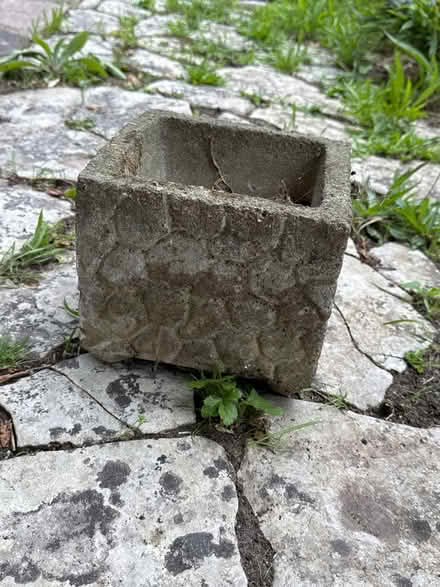 Photo of free Concrete planter (Twickenham TW1) #1