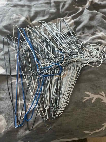 Photo of free Wire hangers (Bampton OX18) #1