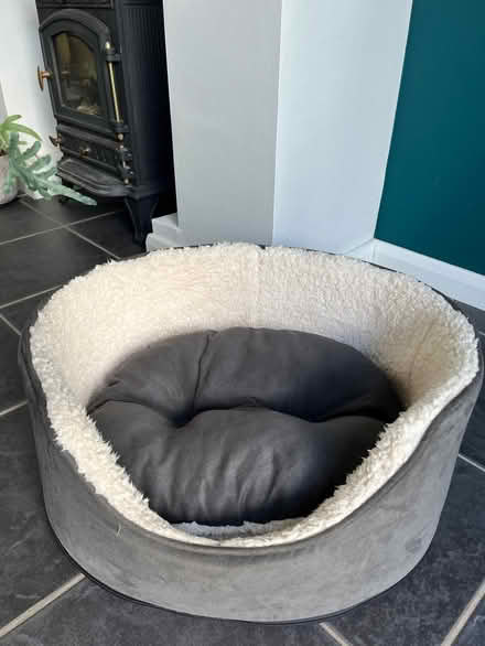 Photo of free Small dog bed (Cubbington CV32) #1