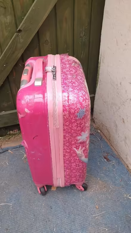 Photo of free Frozen Trolley bag (IP4) #4