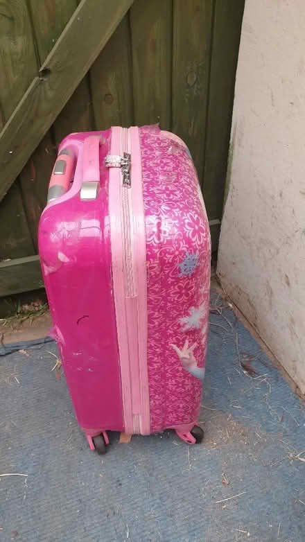 Photo of free Frozen Trolley bag (IP4) #4