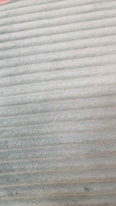 Photo of free Seat cushions (Prospect park south) #2