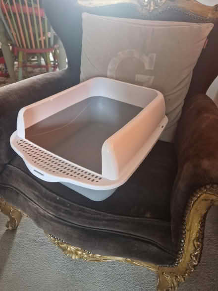 Photo of free Cat litter tray never used (EN3) #1