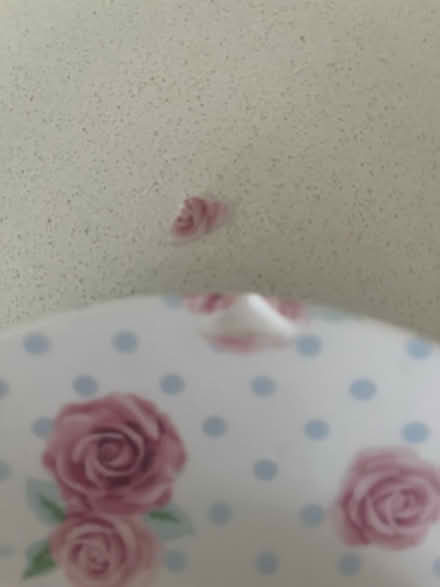 Photo of free Super cute side plate (Ingatestone) #3