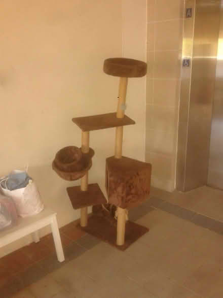 Photo of free Cat Gym (Queenstown, near MRT) #1