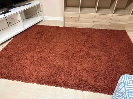 Photo of free Shag rug (Mount Vernon, NY) #1