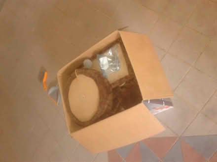 Photo of free Cat Gym (Queenstown, near MRT) #3