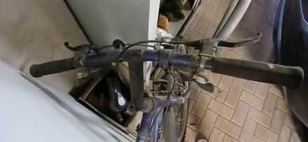 Photo of free Mountain bike (Newbury racecourse. RG14) #4