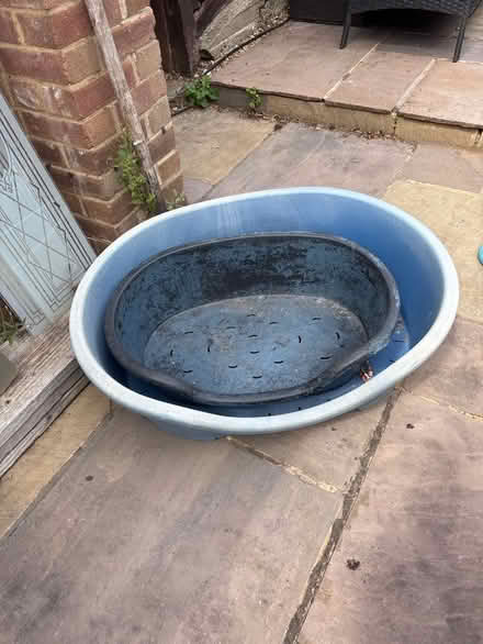 Photo of free Large and medium dog beds (Broadwater SG2) #1