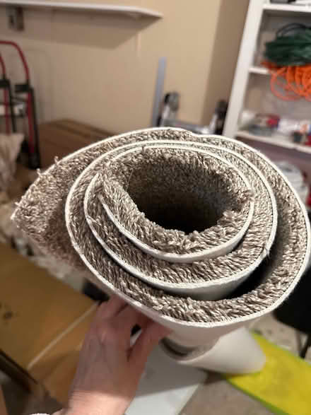 Photo of free Roll of carpet remnant (19711) #1