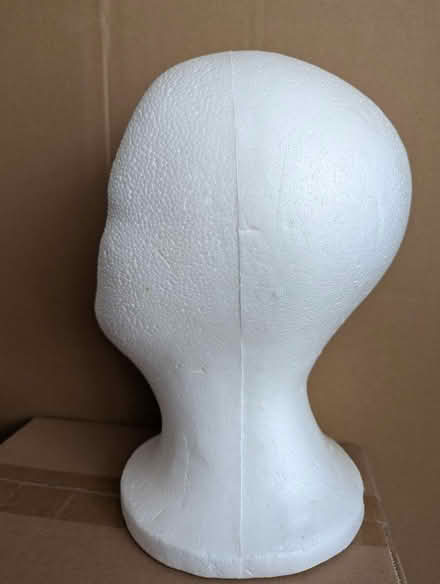 Photo of free Hollow Polystyrene Head (CT13) #1