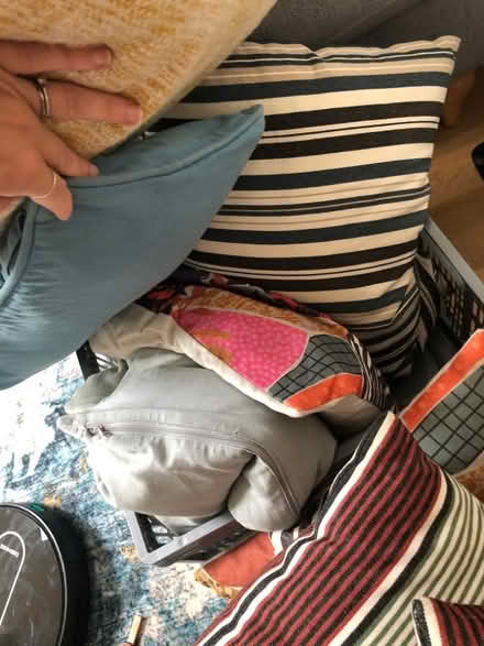 Photo of free Large bag of cushions (Harborne B17) #3