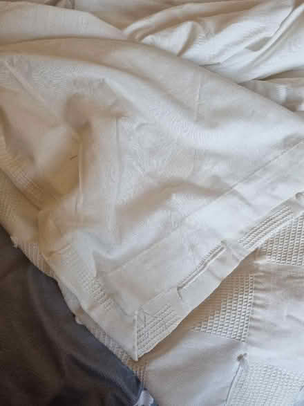 Photo of free Cream Curtains (CT11) #4