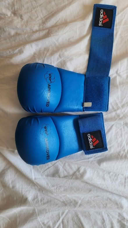 Photo of free Kids MMA training gloves (Ham TW10) #1