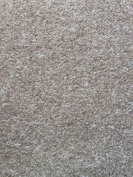 Photo of free Carpet approx. 2m x 2.6m (Norton LD8) #2