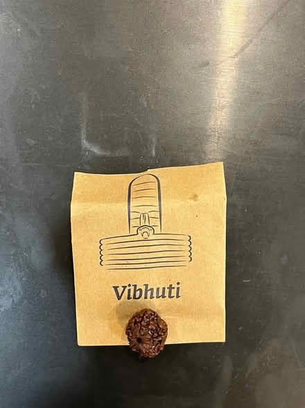 Photo of free Isha Rudraksha (West view terrace, Oakville) #1