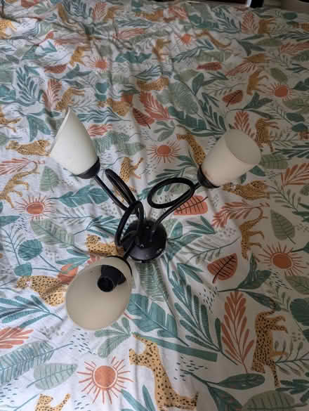 Photo of free Ceiling light (Sheffield S12) #3