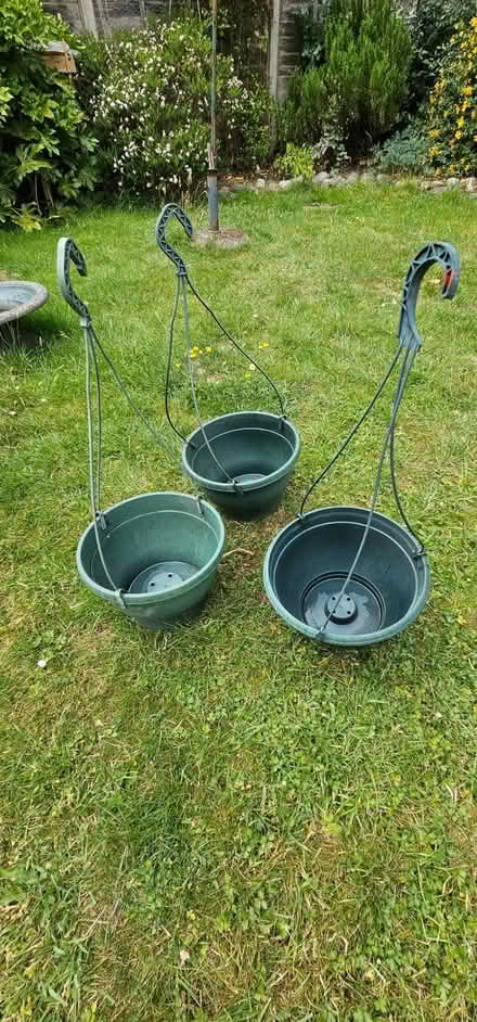 Photo of free Hanging baskets (Horsham, RH13) #2