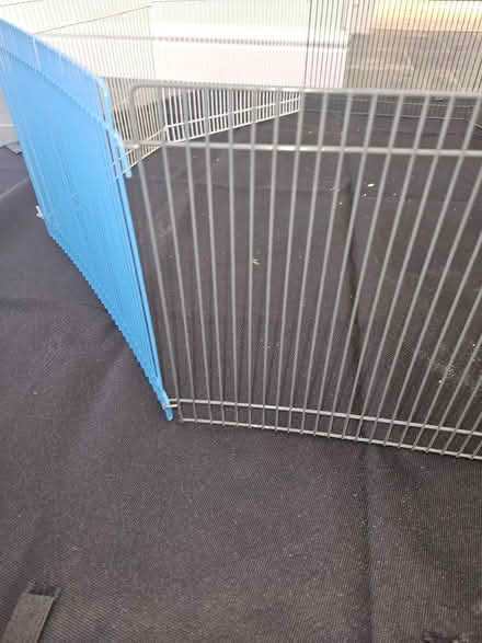 Photo of free Small animal enclosure with bottom sheet. (Deanshanger MK19) #2