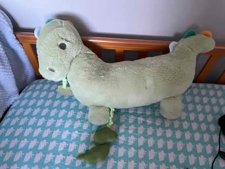 Photo of free Dinosaur Tummy time pillow (Thringstone LE67) #1