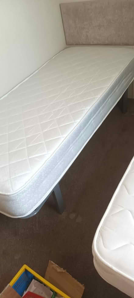 Photo of free 2 single beds (Woodbridge IP12) #3