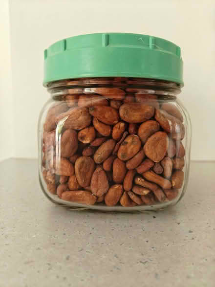 Photo of free Cocoa beans for making chocolate (Gold St area NN8) #1