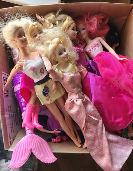 Photo of free Box of Barbies (South Leigh OX29) #1