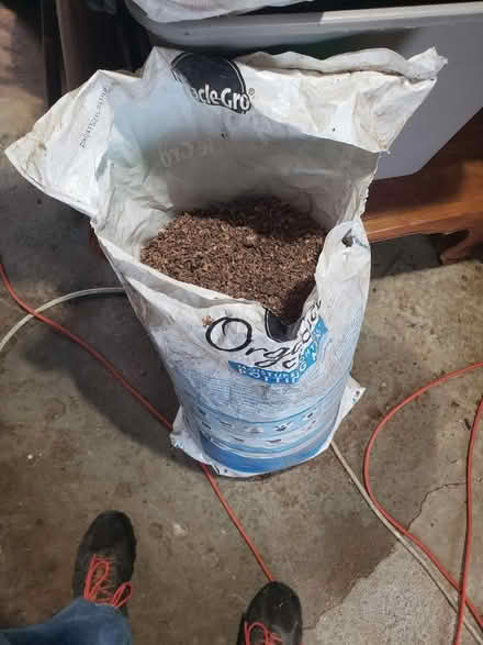 Photo of free Bag of Walnut Sawdust (Happy Creek Road, Front Royal) #2