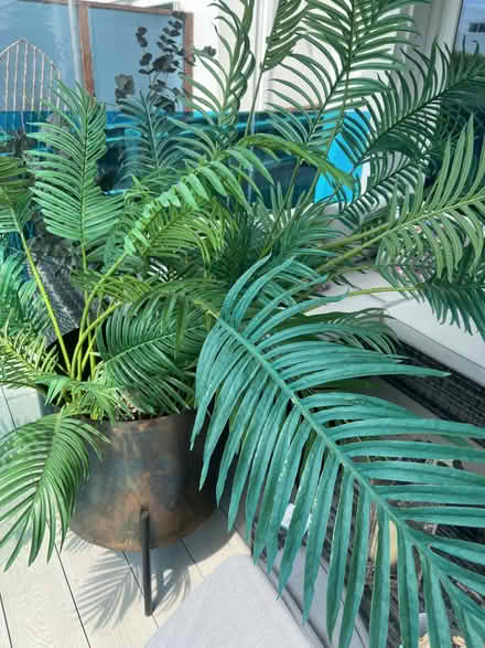 Photo of free Artificial plants (Poole BH14) #2