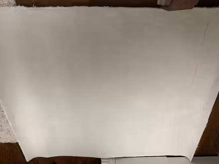 Photo of free New Carpeting (Alta Vista area) #1