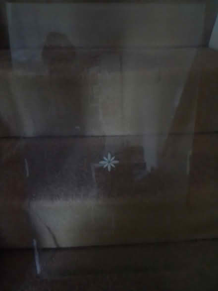 Photo of free Pane of glass 36cm x 61cm (Biggleswade) #2