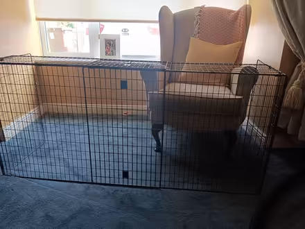 Photo of free Fire guard child proof (Turners cross cork) #3