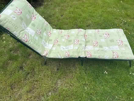 Photo of free Garden longer (Comely Bank EH4) #2