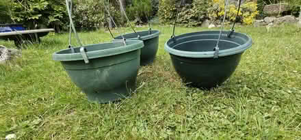 Photo of free Hanging baskets (Horsham, RH13) #3