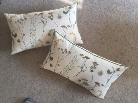 Photo of free Pair of cushions, ex Habitat (Cox Green SL6) #1